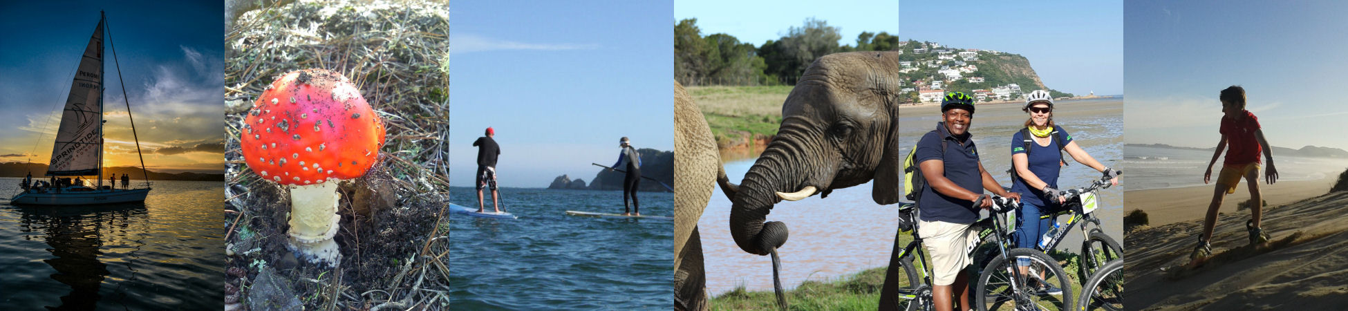 Explore Knysna - The Place to Be
